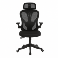 Ergonomic Essentials Collection