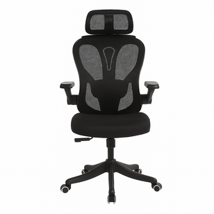 ProErgo Mesh Back Chair